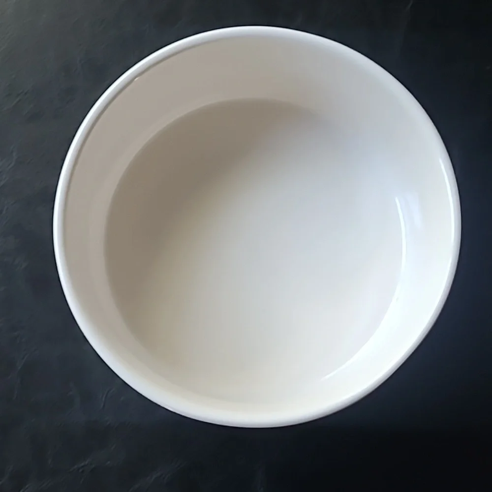 Rae Dunn Dog Bowl